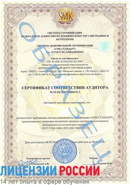 Образец сертификата соответствия аудитора №ST.RU.EXP.00006191-3 Новоуральск Сертификат ISO 50001